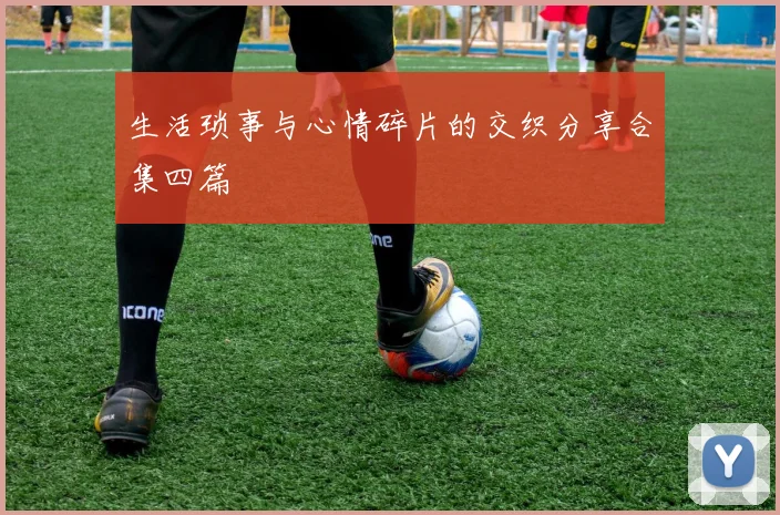 生活琐事与心情碎片的交织分享合集四篇