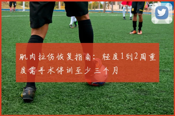 肌肉拉伤恢复指南：轻度1到2周重度需手术停训至少三个月